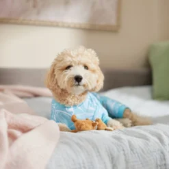 Frisco Blue Ocean Waves Dog & Cat Jersey PJs 10 Frisco Blue Ocean Waves Dog & Cat Jersey PJs -Pawsphoria Sales Store 556142 PT5. AC SS1800 V1674828705