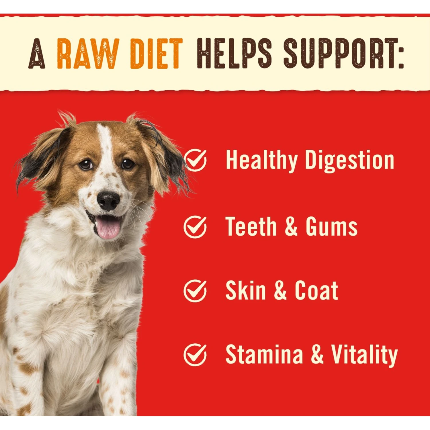 Stella & Chewy's Stella's Super Beef Dinner Patties Freeze-Dried Raw Dog Food & Stella & Chewy's Chewy's Chicken Dinner Patties Freeze-Dried Raw Dog Food 5 Stella & Chewy's Stella's Super Beef Dinner Patties Freeze-Dried Raw Dog Food & Stella & Chewy's Chewy's Chicken Dinner Patties Freeze-Dried Raw Dog Food - Image 5