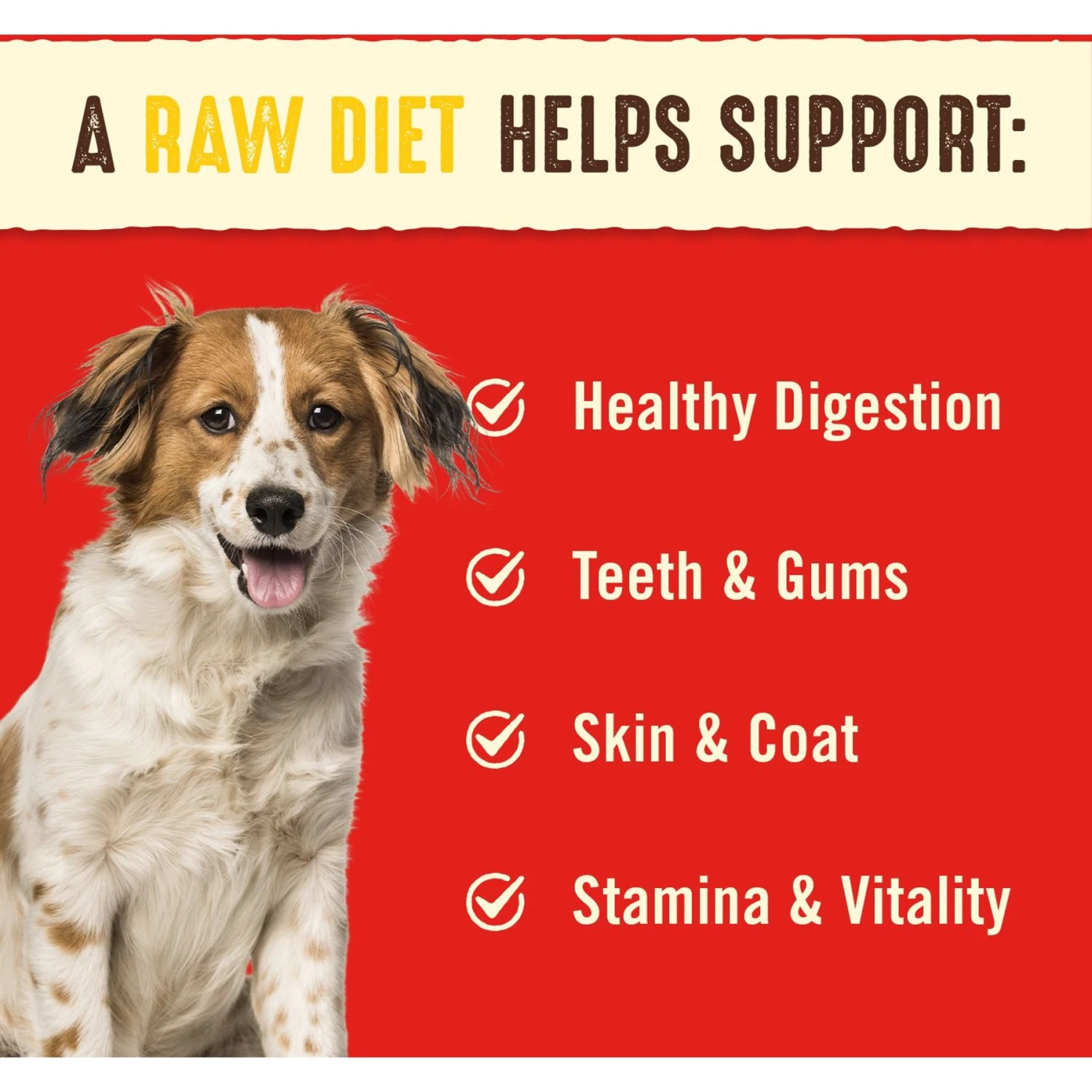 Stella & Chewy's Stella's Super Beef Dinner Patties Freeze-Dried Raw Dog Food & Stella & Chewy's Chewy's Chicken Dinner Patties Freeze-Dried Raw Dog Food 9 Stella & Chewy's Stella's Super Beef Dinner Patties Freeze-Dried Raw Dog Food & Stella & Chewy's Chewy's Chicken Dinner Patties Freeze-Dried Raw Dog Food - Image 9