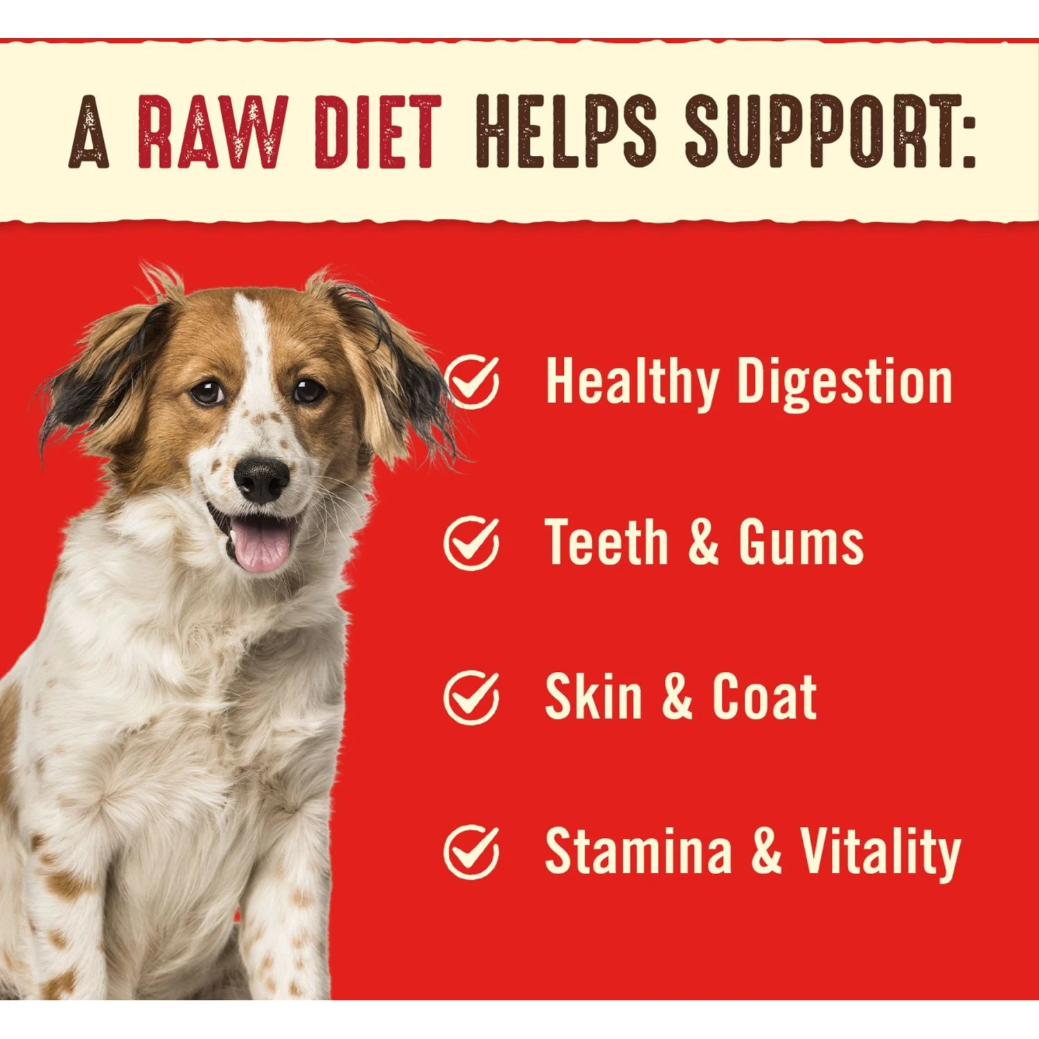 Stella & Chewy's Dandy Lamb Dinner Patties Freeze-Dried Raw Dog Food & Stella & Chewy's Remarkable Red Meat Recipe Dinner Patties Freeze-Dried Raw Dog Food 9 Stella & Chewy's Dandy Lamb Dinner Patties Freeze-Dried Raw Dog Food & Stella & Chewy's Remarkable Red Meat Recipe Dinner Patties Freeze-Dried Raw Dog Food - Image 9
