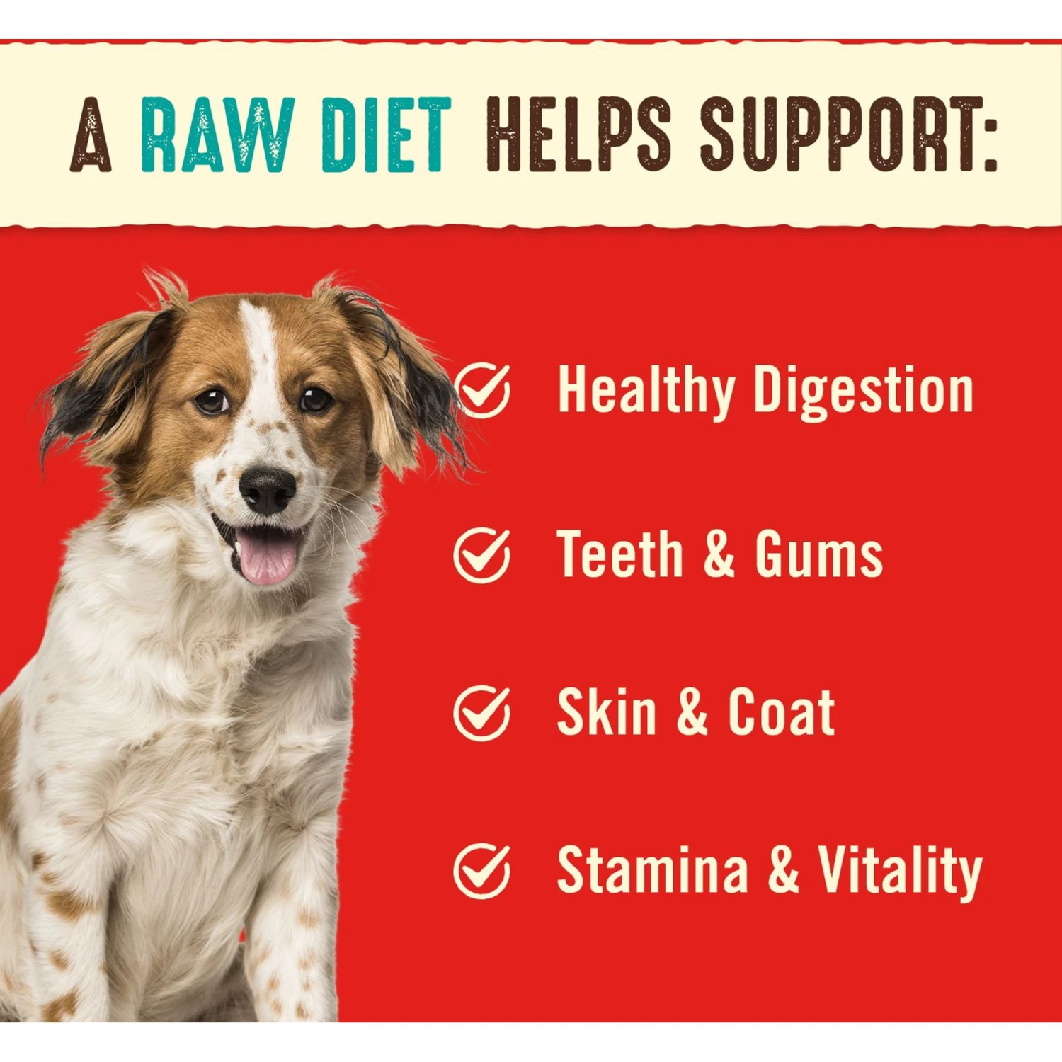 Stella & Chewy's Surf 'N Turf Dinner Patties Freeze-Dried Raw Dog Food & Stella & Chewy's Stella's Super Beef Dinner Patties Freeze-Dried Raw Dog Food 9 Stella & Chewy's Surf 'N Turf Dinner Patties Freeze-Dried Raw Dog Food & Stella & Chewy's Stella's Super Beef Dinner Patties Freeze-Dried Raw Dog Food - Image 9