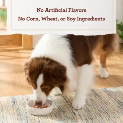 True Acre Foods Chicken & Liver Recipe Tender Loaf In Gravy, Wet Dog Food Cups 14 True Acre Foods Chicken & Liver Recipe Tender Loaf In Gravy, Wet Dog Food Cups -Pawsphoria Sales Store 569334 PT5. AC SS1800 V1670335786