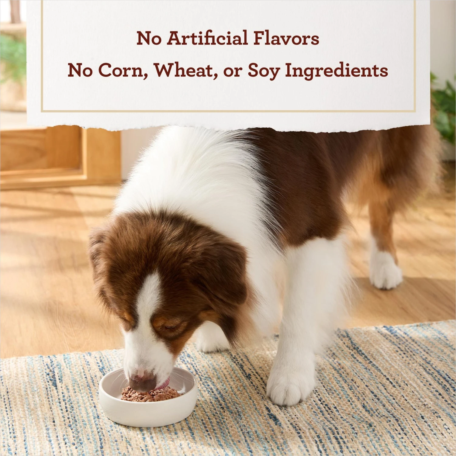 True Acre Foods Chicken & Liver Recipe Tender Loaf In Gravy, Wet Dog Food Cups 6 True Acre Foods Chicken & Liver Recipe Tender Loaf In Gravy, Wet Dog Food Cups - Image 6