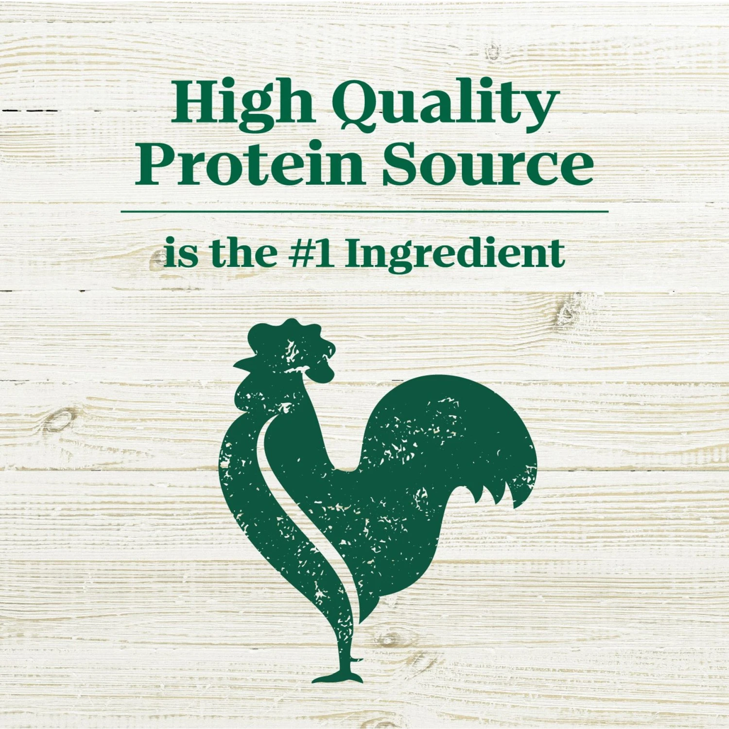 Nutro Max Adult Farm-Raised Lamb Recipe Natural Dry Dog Food, 25-lb Bag 4 Nutro Max Adult Farm-Raised Lamb Recipe Natural Dry Dog Food, 25-lb Bag - Image 4