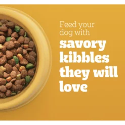 Pedigree With MarroBites Pieces Steak & Vegetable Flavor Adult Dry Dog Food 10 Pedigree With MarroBites Pieces Steak & Vegetable Flavor Adult Dry Dog Food -Pawsphoria Sales Store 573438 PT3. AC SS1800 V1658197179