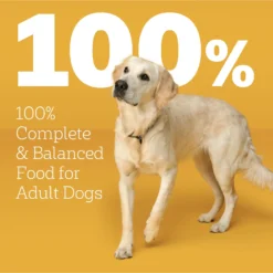 Pedigree With MarroBites Pieces Steak & Vegetable Flavor Adult Dry Dog Food 15 Pedigree With MarroBites Pieces Steak & Vegetable Flavor Adult Dry Dog Food -Pawsphoria Sales Store 573438 PT8. AC SS1800 V1658203726