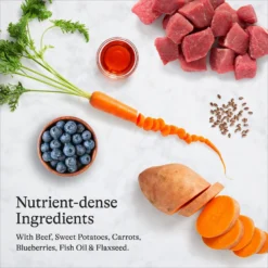 American Journey Beef Recipe Grain-Free Canned Dog Food & American Journey Beef & Sweet Potato Recipe Grain-Free Dry Dog Food 13 American Journey Beef Recipe Grain-Free Canned Dog Food & American Journey Beef & Sweet Potato Recipe Grain-Free Dry Dog Food -Pawsphoria Sales Store 574654 PT4. AC SS1800 V1694611052