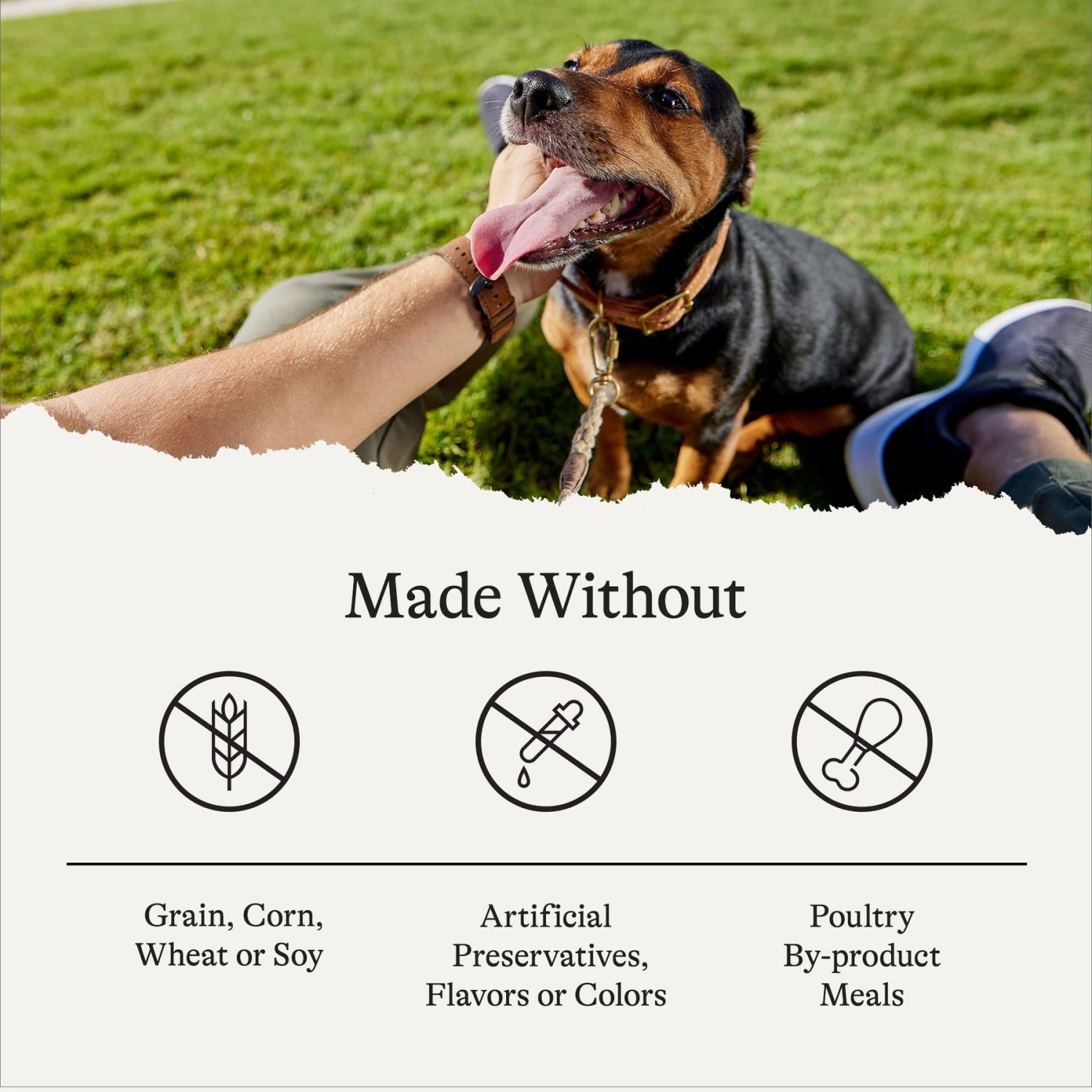 American Journey Beef Recipe Grain-Free Canned Dog Food & American Journey Beef & Sweet Potato Recipe Grain-Free Dry Dog Food 9 American Journey Beef Recipe Grain-Free Canned Dog Food & American Journey Beef & Sweet Potato Recipe Grain-Free Dry Dog Food - Image 9