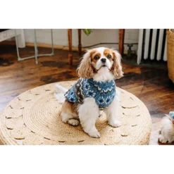 Chilly Dog Fairisle Wool Dog Sweater, Blue -Pawsphoria Sales Store 577734 PT3. AC SS1800 V1659025727