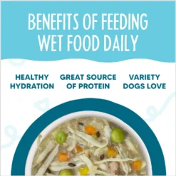 Weruva Meals 'n More Natural Wet Dog Food, Funky Chunky Plus Skin & Coat Health, 3.5-oz Cup, 12 Count 14 Weruva Meals 'n More Natural Wet Dog Food, Funky Chunky Plus Skin & Coat Health, 3.5-oz Cup, 12 Count -Pawsphoria Sales Store 578366 PT5. AC SS1800 V1695832221