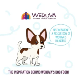 Weruva Meals 'n More Natural Wet Dog Food, Jammin' Salmon Plus Skin & Coat Health, 3.5-oz Cup, 12 Count 16 Weruva Meals 'n More Natural Wet Dog Food, Jammin' Salmon Plus Skin & Coat Health, 3.5-oz Cup, 12 Count -Pawsphoria Sales Store 578398 PT7. AC SS1800 V1695756648