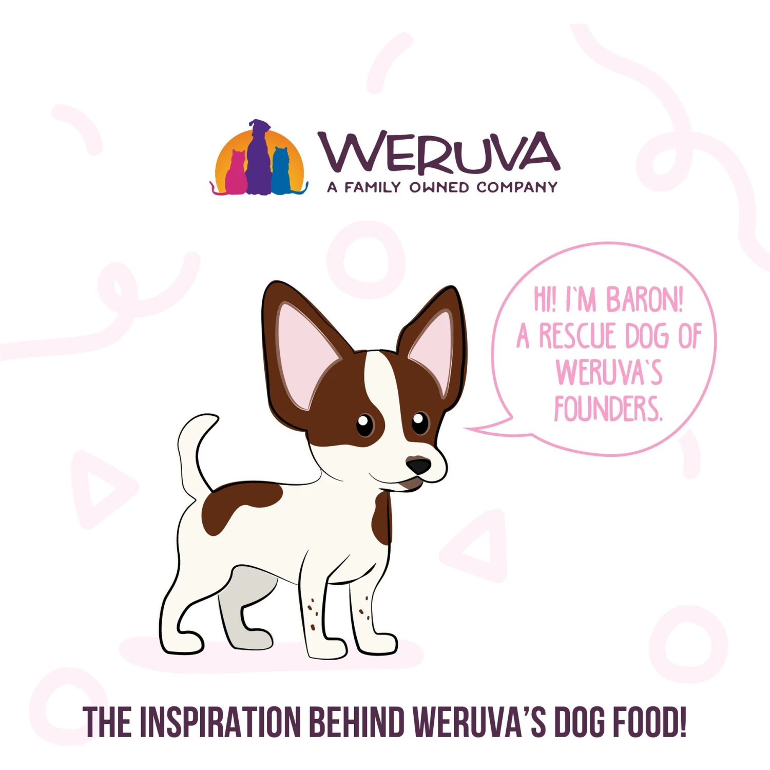 Weruva Meals 'n More Natural Wet Dog Food, Bed & Breakfast Plus Digestive Support, 3.5-oz Cup, 12 Count 8 Weruva Meals 'n More Natural Wet Dog Food, Bed & Breakfast Plus Digestive Support, 3.5-oz Cup, 12 Count - Image 8