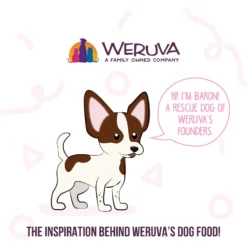 Weruva Meals 'n More Natural Wet Dog Food, Wok The Dog Plus Digestive Support, 3.5-oz Cup, 12 Count 16 Weruva Meals 'n More Natural Wet Dog Food, Wok The Dog Plus Digestive Support, 3.5-oz Cup, 12 Count -Pawsphoria Sales Store 578462 PT7. AC SS1800 V1695760359