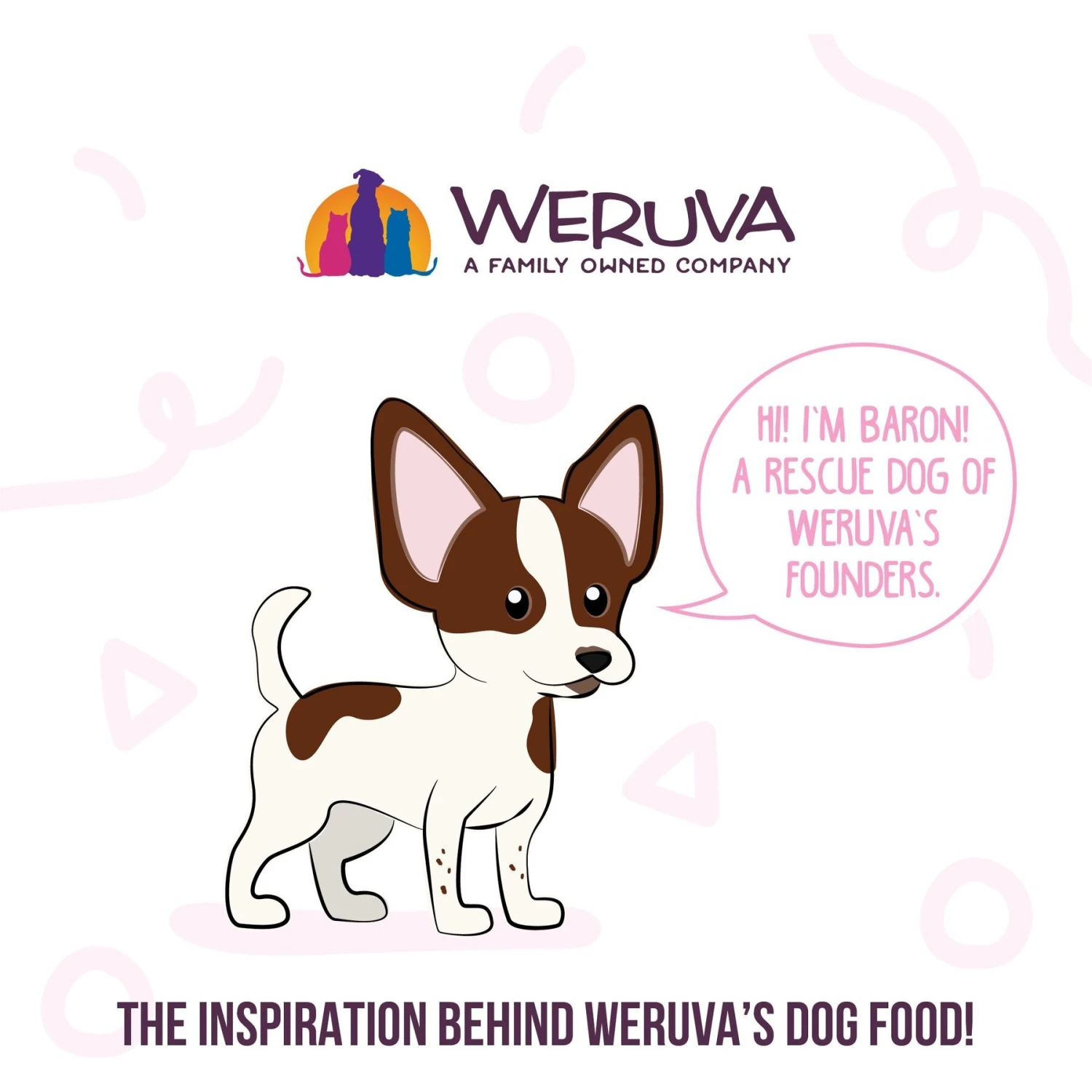 Weruva Meals 'n More Natural Wet Dog Food, Wok The Dog Plus Digestive Support, 3.5-oz Cup, 12 Count 8 Weruva Meals 'n More Natural Wet Dog Food, Wok The Dog Plus Digestive Support, 3.5-oz Cup, 12 Count - Image 8