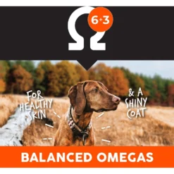 Ultimates Adult Large Breed Chicken Meal & Rice Flavored Dry Dog Food -Pawsphoria Sales Store 579182 PT6. AC SS1800 V1680811850