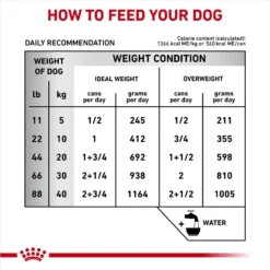 Royal Canin Veterinary Diet Adult Hepatic Loaf Canned Dog Food 15 Royal Canin Veterinary Diet Adult Hepatic Loaf Canned Dog Food -Pawsphoria Sales Store 58624 PT6. AC SS1800 V1691702091