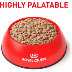 Royal Canin Veterinary Diet Adult Glycobalance Loaf In Sauce Canned Dog Food 11 Royal Canin Veterinary Diet Adult Glycobalance Loaf In Sauce Canned Dog Food -Pawsphoria Sales Store 58700 PT2. AC SS1800 V1641861707