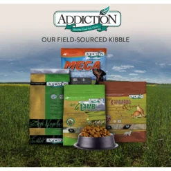 Addiction Grain-Free Le Lamb Dry Dog Food -Pawsphoria Sales Store 60103 PT7. AC SS1800 V1605918411