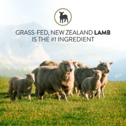 Addiction Herbed Lamb & Potatoes Raw Dehydrated Dog Food 12 Addiction Herbed Lamb & Potatoes Raw Dehydrated Dog Food -Pawsphoria Sales Store 60125 PT3. AC SS1800 V1637710908