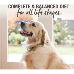 K9 Natural Beef Feast Raw Grain-Free Freeze-Dried Dog Food -Pawsphoria Sales Store 60438 PT2. AC SS1800 V1594854368