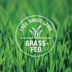 K9 Natural Lamb Feast Raw Grain-Free Freeze-Dried Dog Food -Pawsphoria Sales Store 60439 PT8. AC SS1800 V1536168121