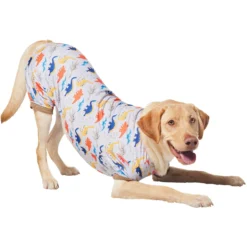 Frisco Dinosaur Dog & Cat Jersey PJs -Pawsphoria Sales Store 609062 PT4. AC SS1800 V1681488688