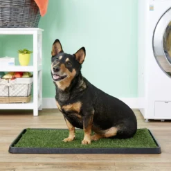 Four Paws Wee-Wee Dog Grass Patch Tray & Wee-Wee Patch Replacement Grass Mat -Pawsphoria Sales Store 609526 PT3. AC SS1800 V1660403229