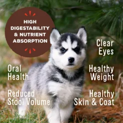 Primal Raw Pronto Puppy Recipe Dog Freeze-Dried Food 13 Primal Raw Pronto Puppy Recipe Dog Freeze-Dried Food -Pawsphoria Sales Store 614366 PT4. AC SS1800 V1677773443