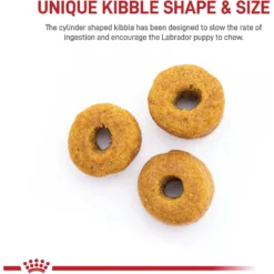 Royal Canin Breed Health Nutrition Labrador Retriever Puppy Dry Dog Food -Pawsphoria Sales Store 61486 PT3. AC SS1800 V1697216753