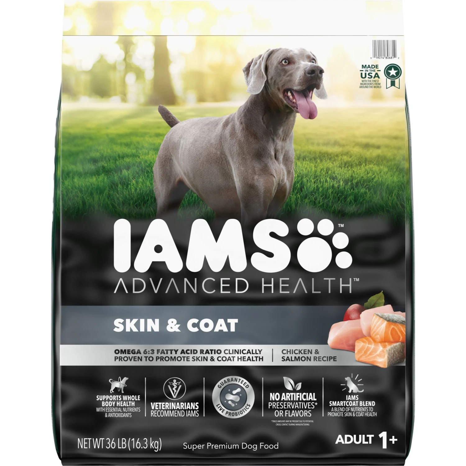 Iams Advanced Health Skin & Coat Chicken & Salmon Recipe Adult Dry Dog Food 1 Iams Advanced Health Skin & Coat Chicken & Salmon Recipe Adult Dry Dog Food