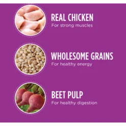 Iams Proactive Health Healthy Aging Large Breed Mature & Senior Formula With Real Chicken Dry Dog Food -Pawsphoria Sales Store 61752 PT2. AC SS1800 V1668024168