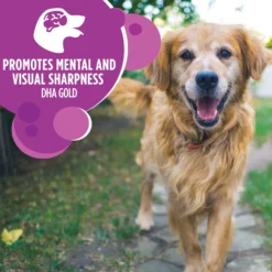 Iams Proactive Health Healthy Aging Large Breed Mature & Senior Formula With Real Chicken Dry Dog Food -Pawsphoria Sales Store 61752 PT4. AC SS1800 V1668023589