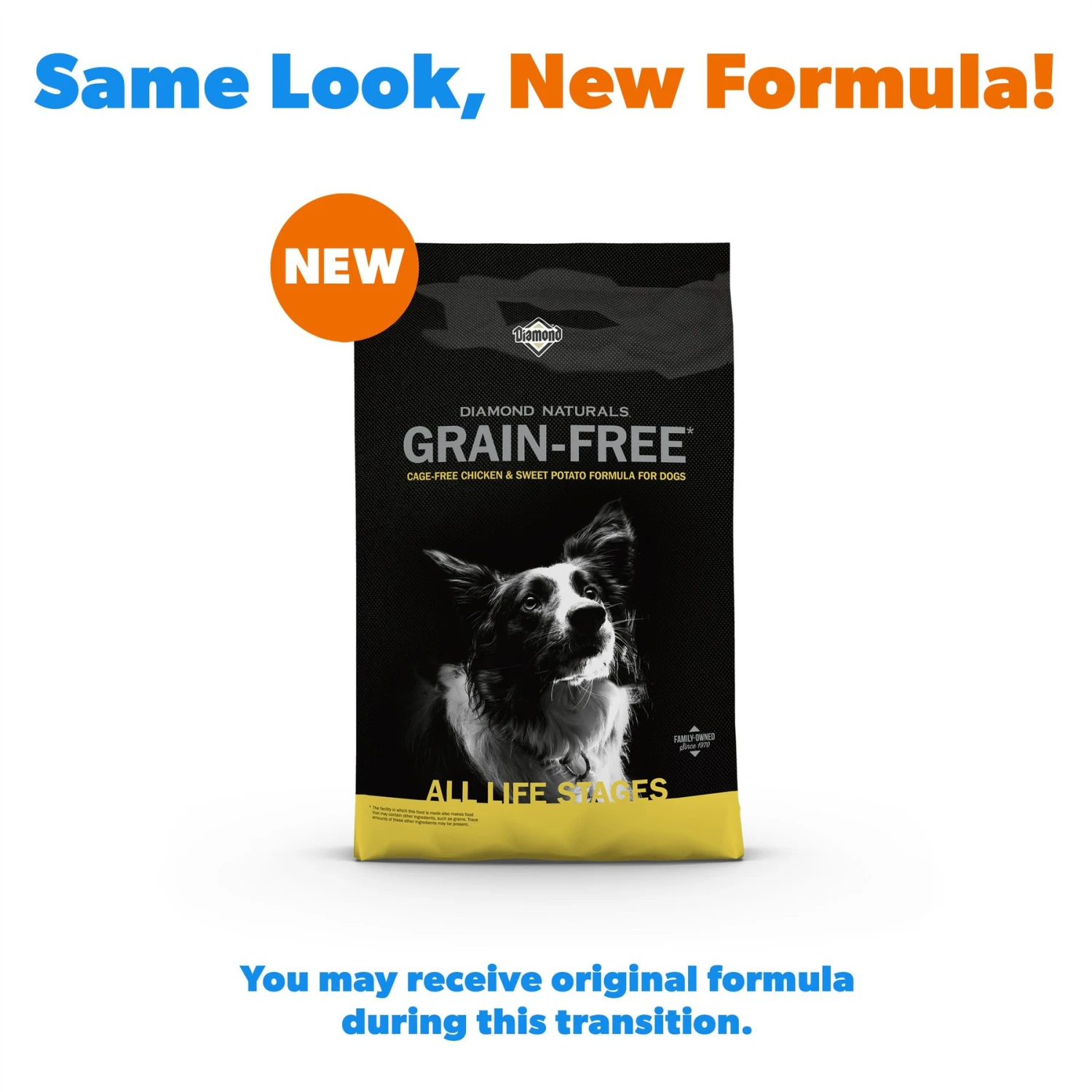 Diamond Naturals Grain-Free Chicken & Sweet Potato Formula Dry Dog Food 2 Diamond Naturals Grain-Free Chicken & Sweet Potato Formula Dry Dog Food - Image 2