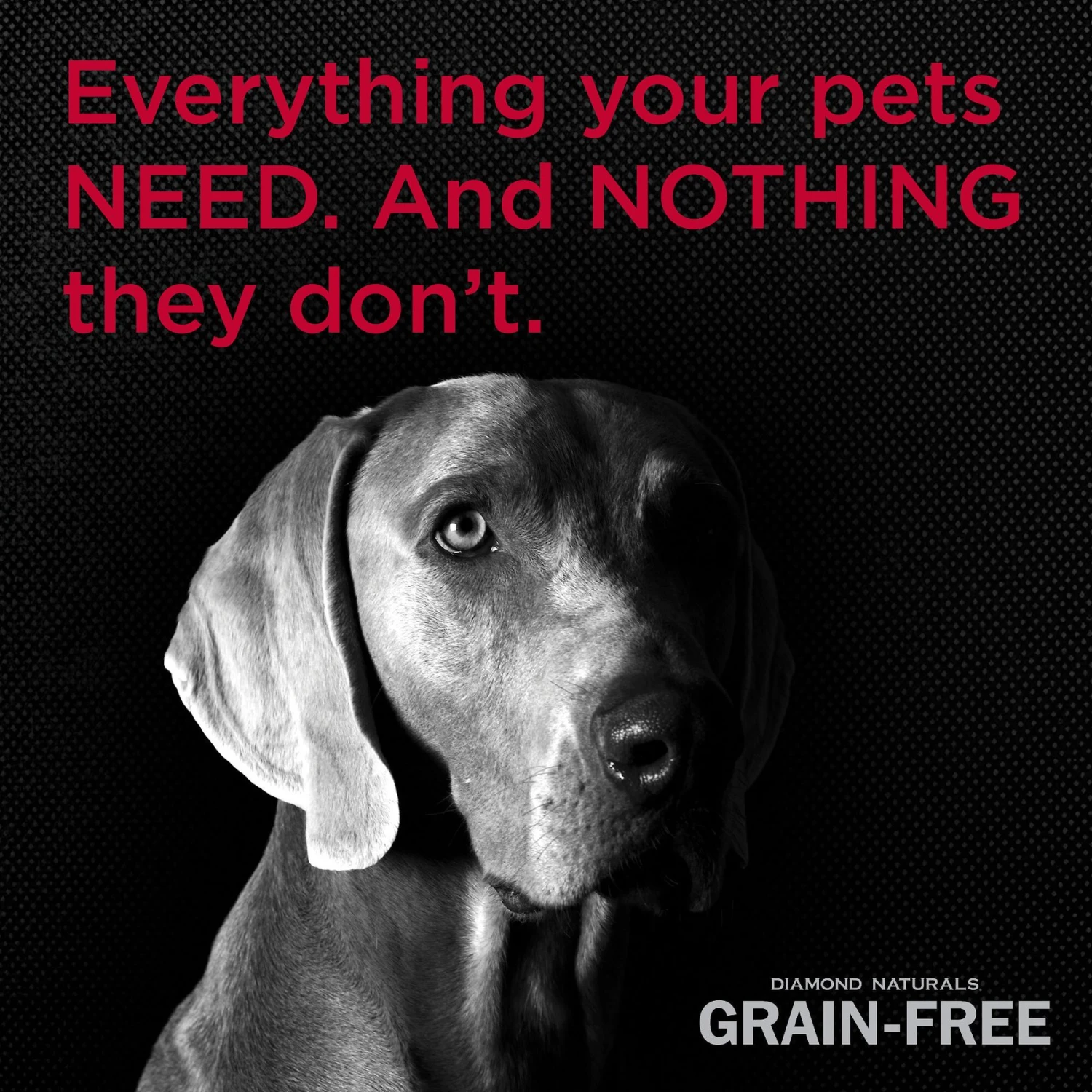 Diamond Naturals Grain-Free Chicken & Sweet Potato Formula Dry Dog Food 5 Diamond Naturals Grain-Free Chicken & Sweet Potato Formula Dry Dog Food - Image 5