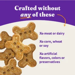 Halo Holistic Garden Of Vegan Recipe Adult Canned Dog Food & Halo Plant-Based Dog Treats With Peanuts & Pumpkin Vegan Dog Treat -Pawsphoria Sales Store 630310 PT4. AC SS1800 V1691417821