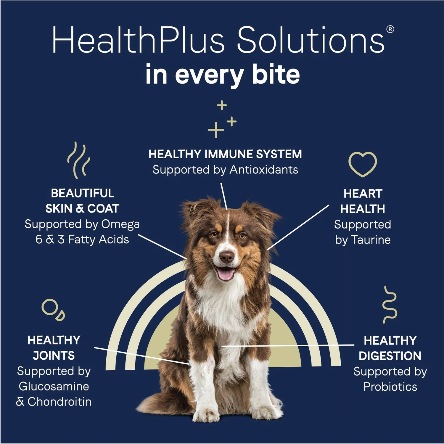 CANIDAE Pure Goodness Real Duck & Sweet Potato Recipe Dry Dog Food & CANIDAE Grain-Free PURE Limited Ingredient Salmon & Sweet Potato Recipe Dry Dog Food 9 CANIDAE Pure Goodness Real Duck & Sweet Potato Recipe Dry Dog Food & CANIDAE Grain-Free PURE Limited Ingredient Salmon & Sweet Potato Recipe Dry Dog Food - Image 9