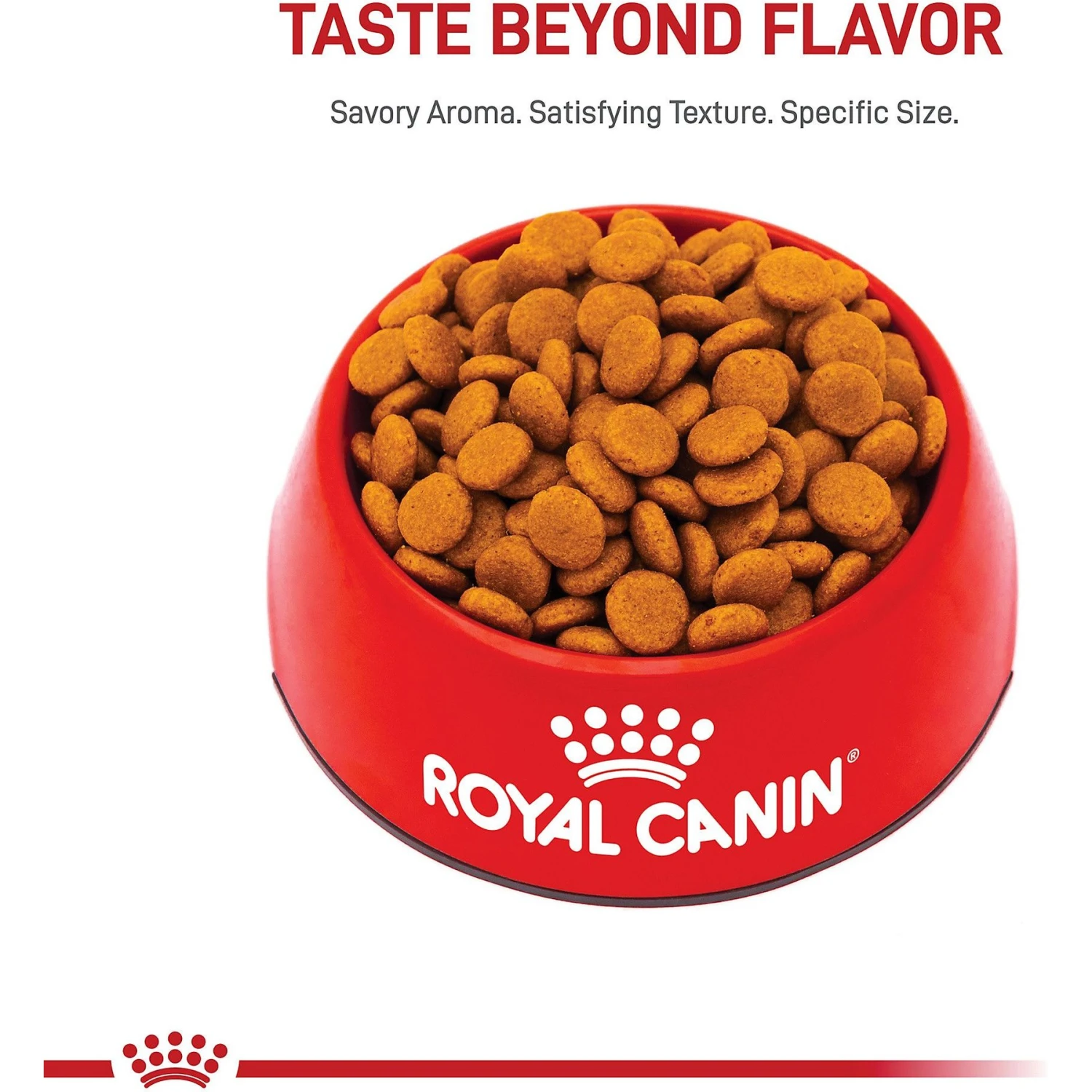 Royal Canin Canine Care Nutrition Medium Digestive Care Dry Dog Food 2 Royal Canin Canine Care Nutrition Medium Digestive Care Dry Dog Food - Image 2