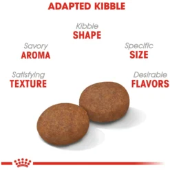 Royal Canin Size Health Nutrition Medium Adult 7+ Dry Dog Food 12 Royal Canin Size Health Nutrition Medium Adult 7+ Dry Dog Food -Pawsphoria Sales Store 63262 PT3. AC SS1800 V1697216754