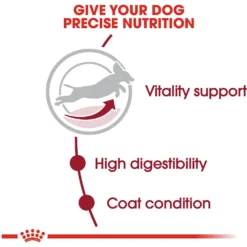 Royal Canin Size Health Nutrition Medium Adult 7+ Dry Dog Food 13 Royal Canin Size Health Nutrition Medium Adult 7+ Dry Dog Food -Pawsphoria Sales Store 63262 PT4. AC SS1800 V1697213092