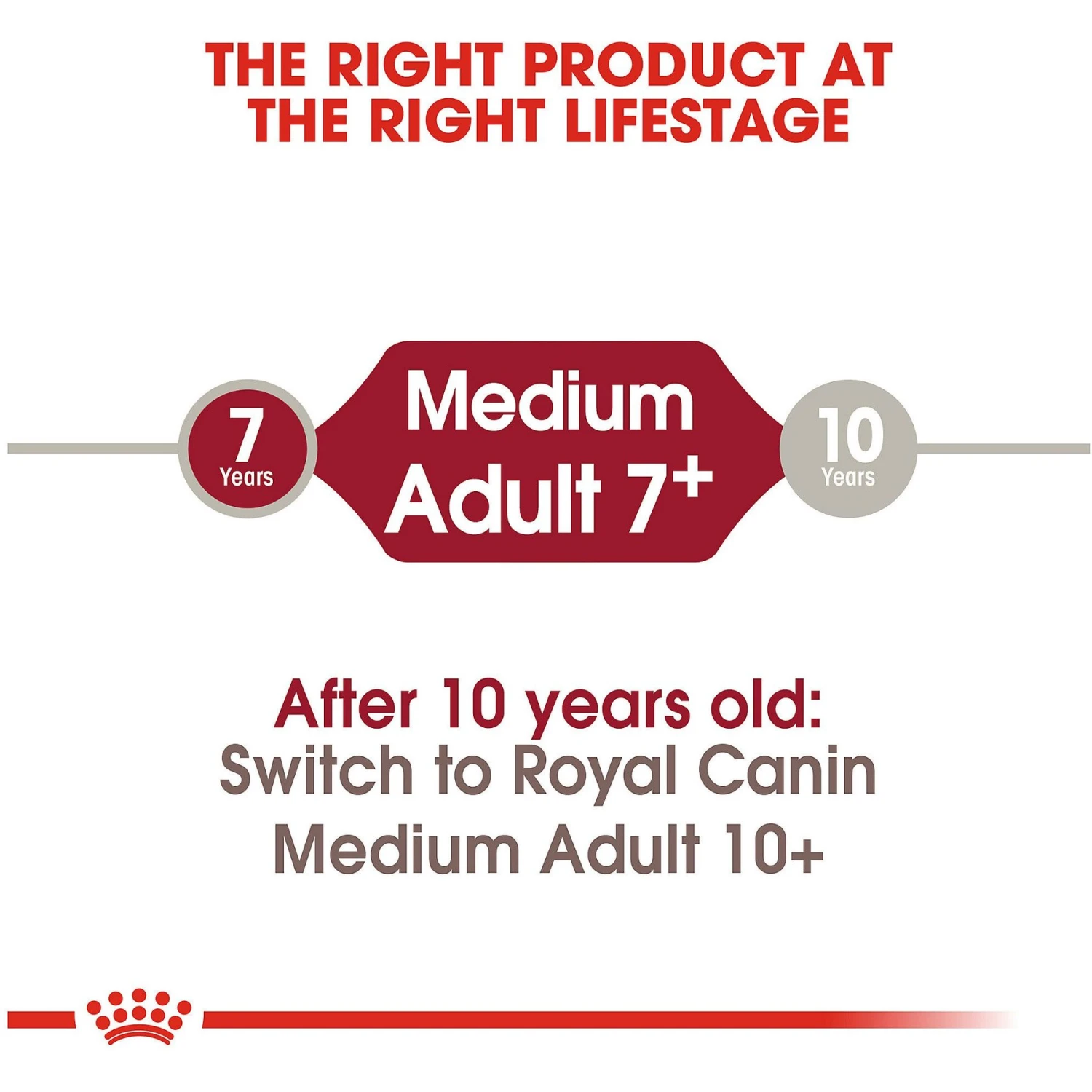 Royal Canin Size Health Nutrition Medium Adult 7+ Dry Dog Food 7 Royal Canin Size Health Nutrition Medium Adult 7+ Dry Dog Food - Image 7