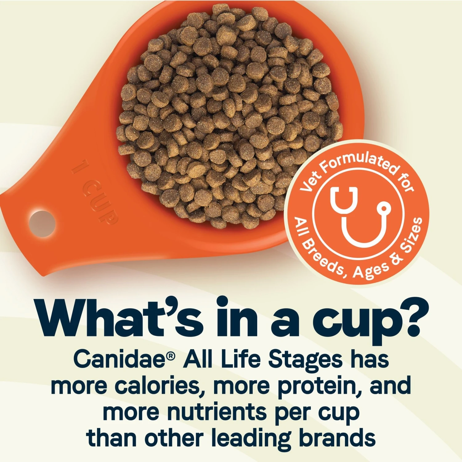CANIDAE All Life Stages Chicken Meal & Rice Formula Dry Dog Food & CANIDAE All Life Stages Chicken & Rice Formula Canned Dog Food 5 CANIDAE All Life Stages Chicken Meal & Rice Formula Dry Dog Food & CANIDAE All Life Stages Chicken & Rice Formula Canned Dog Food - Image 5