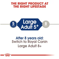 Royal Canin Size Health Nutrition Large Adult 5+ Dry Dog Food -Pawsphoria Sales Store 63336 PT6. AC SS1800 V1697655312