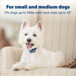 PetSafe Elite Little Dog Waterproof Spray Dog Bark Collar 9 PetSafe Elite Little Dog Waterproof Spray Dog Bark Collar -Pawsphoria Sales Store 63579 PT3. AC SS1800 V1690917853