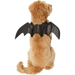 Frisco Bat Wings Dog & Cat Costume & Buckle-Down Batman Shield Polyester Dog Collar -Pawsphoria Sales Store 638566 PT3. AC SS1800 V1663254451