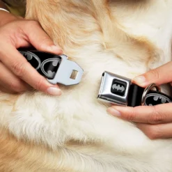 Buckle-Down Batman Shield Dog Leash & Buckle-Down Batman Shield Polyester Dog Collar -Pawsphoria Sales Store 638574 PT6. AC SS1800 V1663254112