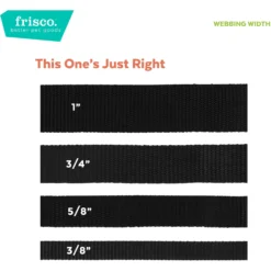Frisco Solid Nylon Dog Leash & Frisco Travel Collapsible Silicone Dog & Cat Bowl -Pawsphoria Sales Store 638702 PT2. AC SS1800 V1663254454