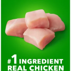 Iams Proactive Health Large Breed Puppy High Protein DHA Formula With Real Chicken Dry Dog Food 11 Iams Proactive Health Large Breed Puppy High Protein DHA Formula With Real Chicken Dry Dog Food -Pawsphoria Sales Store 63946 PT2. AC SS1800 V1667865240
