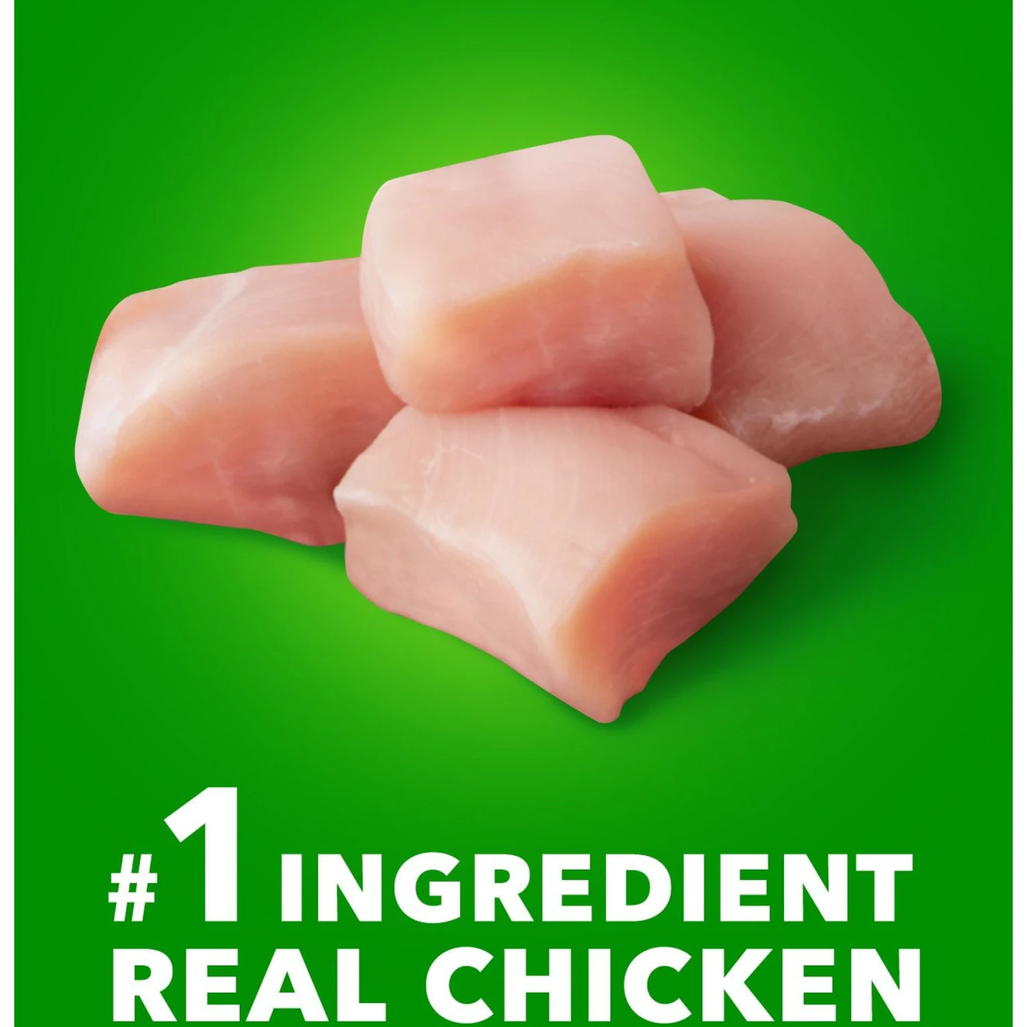 Iams Proactive Health Large Breed Puppy High Protein DHA Formula With Real Chicken Dry Dog Food 3 Iams Proactive Health Large Breed Puppy High Protein DHA Formula With Real Chicken Dry Dog Food - Image 3