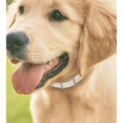 Hartz UltraGuard Pro Reflecting Flea & Tick Collar For Dogs & Puppies & Hartz Nature's Shield Natural Flea & Tick Home Spray -Pawsphoria Sales Store 639942 PT3. AC SS1800 V1663796839