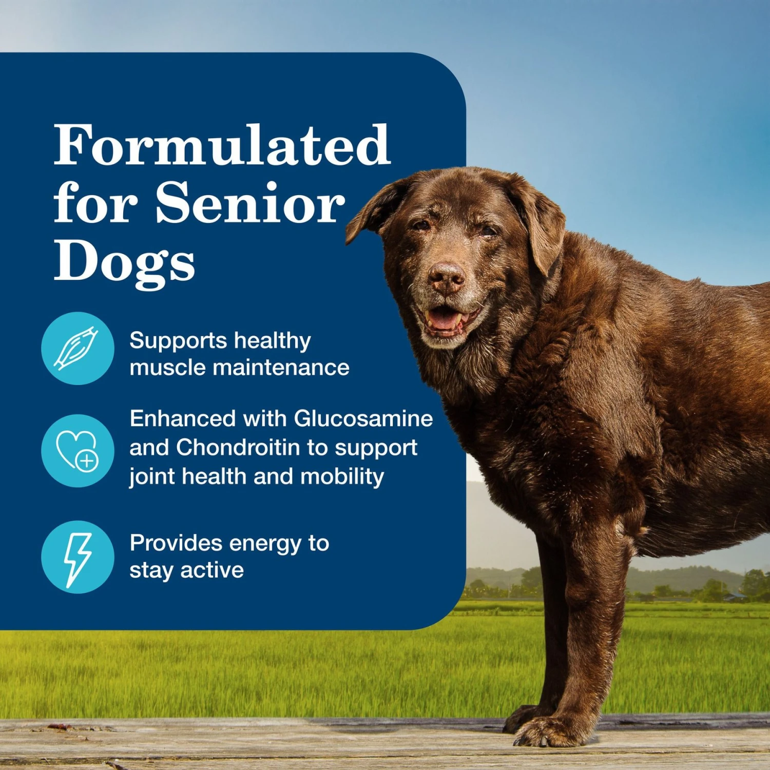 Blue Buffalo Homestyle Recipe Senior Chicken Dinner With Garden Vegetables Canned Dog Food 5 Blue Buffalo Homestyle Recipe Senior Chicken Dinner With Garden Vegetables Canned Dog Food - Image 5